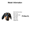 Cozy Knit Dachshund Dog Sweatshirt, Charming Design