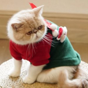 d0ca9012-64c8-442e-a098-80bc0d3c4da1.jpg Cute Winter Christmas Dog Outfit, Festive Charm