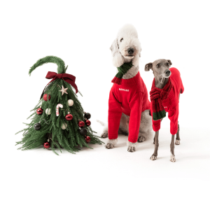 Cozy Winter Italian Greyhound Dog Jacket, Warm Layer