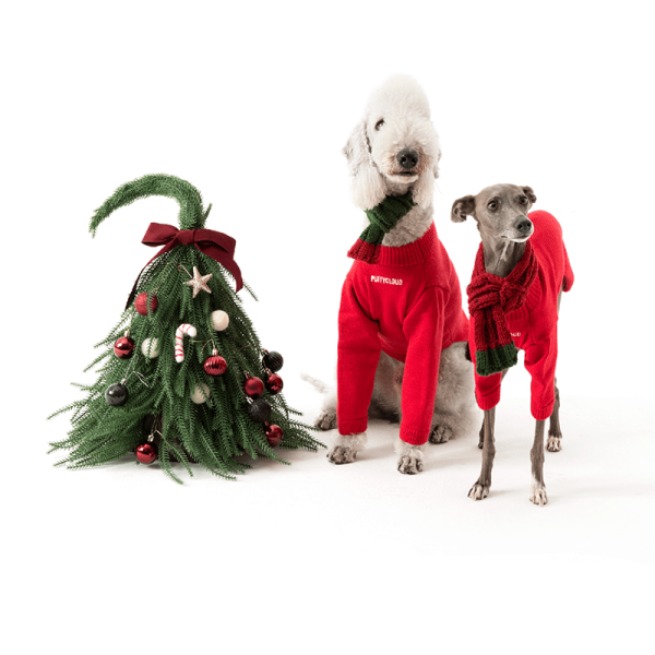 048fb587-0569-4f7f-a98d-5a0c996aa263.png Cozy Winter Italian Greyhound Dog Jacket, Warm Layer