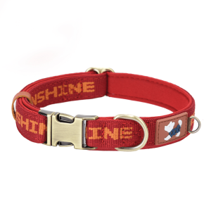 Escape Proof Personalized Dog Collar, Custom Style