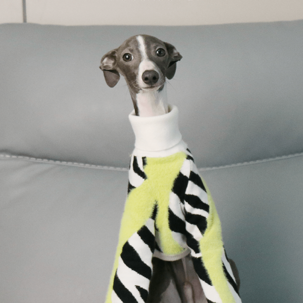 0a7a0458-b5ac-4c87-88a7-a98286923b4a.png Cozy Italian Greyhound Dog Sweater, Classic Knit
