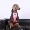 Cozy Casual Big Dog Hoodie for Everyday Comfort