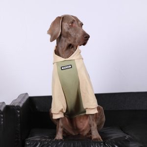 0cac7633-eef6-4608-9ec3-35acd7a8eb94.jpg Cozy Casual Big Dog Hoodie for Everyday Comfort