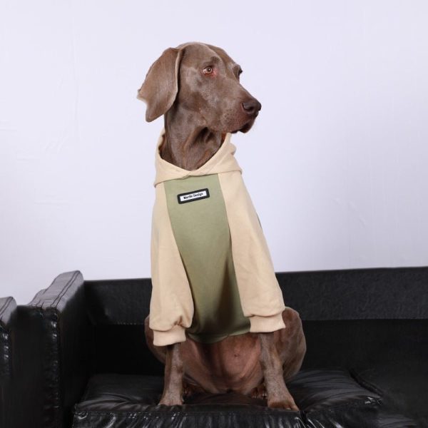 Cozy Casual Big Dog Hoodie for Everyday Comfort