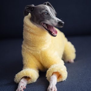 56849c81-7e66-4f61-befa-eed95ec22b60.jpg Double Fleece Italian Greyhound Onesies, Snug Warmth