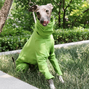 afea337b-3e57-44d8-8f96-78cc736f9359.png Cozy Cotton Dog Onesies Italian Greyhound Pajamas