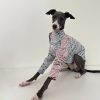 Fashionable Italian Greyhound Cotton Shirt, Breathable Style