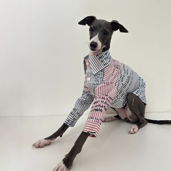 Fashionable Italian Greyhound Cotton Shirt, Breathable Style