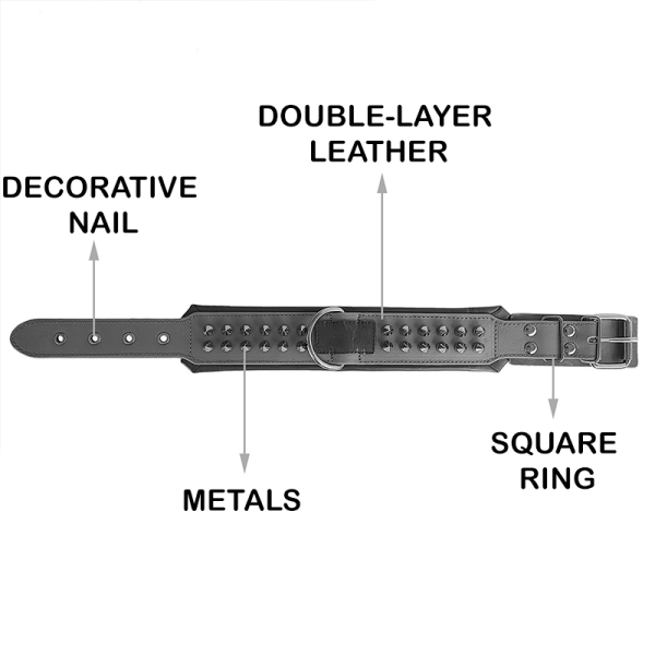1e02b3e5-320f-4b68-85ce-f06b482946d0.png Durable Leather Anti Bite Dog Collar, Sturdy Build