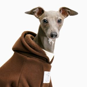Cozy Fleece Italian Greyhound Hoodie, Classic Design