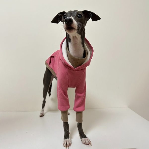 272fcbc8-691b-4908-ac93-46400746993c.jpg Cozy Greyhound Dog Hoodie, Simple and Warm