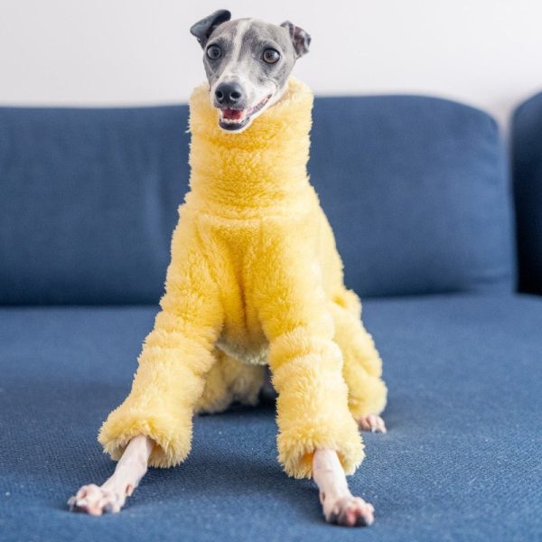 29a377ec-1324-40d6-a9e2-cb4ebc42950e.jpg Double Fleece Italian Greyhound Onesies, Snug Warmth