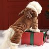 Cozy Christmas Teddy Dog Hoodie, Warm and Playful