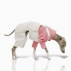 2c1d0062-efde-429e-be61-d52de761b0a7.png Adorable Cotton Dog Pants Clothes Pinafore Denim