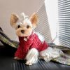 2f2f0a7b-8877-4f91-ba22-a3c1f1ce9d45.jpg Cozy Dog Christmas Sweater Set, Festive Two-Piece