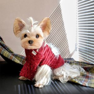 2f2f0a7b-8877-4f91-ba22-a3c1f1ce9d45.jpg Cozy Dog Christmas Sweater Set, Festive Two-Piece