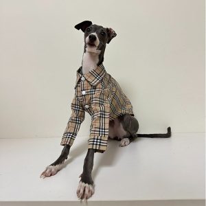 89fcd75b-6d52-4b50-9856-a425c545aa2e.jpg Fashionable Italian Dog Whippet Shirt, Sleek Style