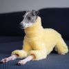 3332d627-4295-40da-85dd-0b036d2dede4.jpg Double Fleece Italian Greyhound Onesies, Snug Warmth