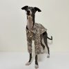 Fashionable Italian Dog Whippet Shirt, Sleek Style