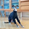 Adorable Cotton Soft Italian Greyhound Onesie