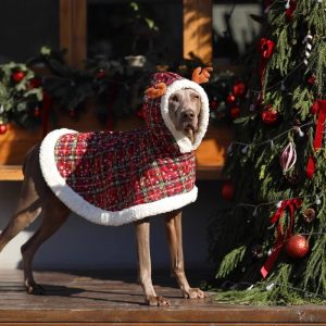 Festive Big Dog Christmas Hoodie Coat, Warm Holiday Wear