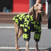 3a245f80-2592-475a-a0e1-7fde6ac32a28.png Cozy Fleece Big Dog Hoodie, Soft and Warm