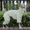 3b9e541b-4d29-455d-aa99-bb5dabf1d59e.png Double Fleece Italian Greyhound Dog Onesies, Extra Warm