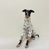 3bd4a085-9f31-46e8-b2d6-0f622b0bebf1.jpg Adorable Cotton Soft Italian Greyhound Onesie Pajamas