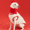 42a418f3-ceec-49e4-907f-0b4dc54c507c.png Cozy Italian Greyhound Fleece Vest, Lightweight Layer