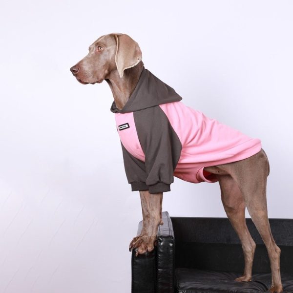 Cozy Casual Big Dog Hoodie for Everyday Comfort