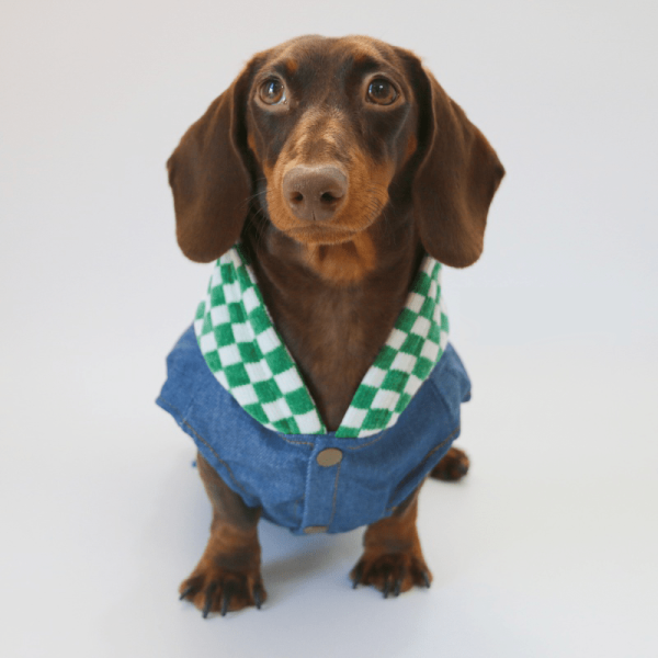 445fb738-385e-4822-9e62-fb212494bf97.png Denim Patchwork Dachshund Hoodie Jacket, Trendy Style