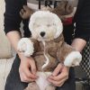Cozy Christmas Teddy Dog Hoodie, Warm and Playful