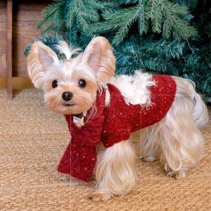 2f2f0a7b-8877-4f91-ba22-a3c1f1ce9d45.jpg Cozy Dog Christmas Sweater Set, Festive Two-Piece
