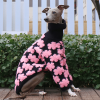 Embroidered High Neck Greyhound Dog Sweater, Classic Style
