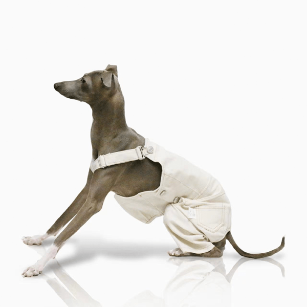 4e84f6e6-8f84-4f0e-82d7-95b1b97373ea.png Adorable Cotton Dog Pants Clothes Pinafore Denim