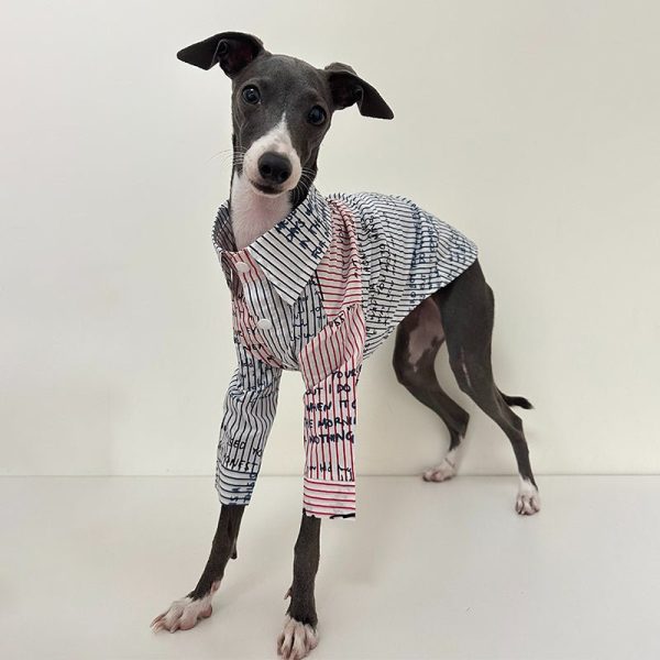 Fashionable Italian Greyhound Cotton Shirt, Breathable Style
