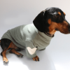 Cozy Knit Dachshund Dog Sweatshirt, Charming Design