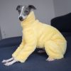 56849c81-7e66-4f61-befa-eed95ec22b60.jpg Double Fleece Italian Greyhound Onesies, Snug Warmth