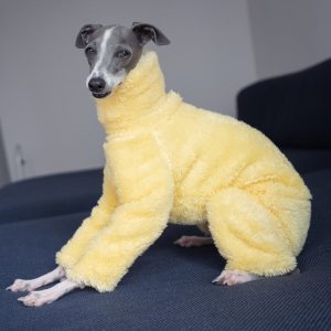 56849c81-7e66-4f61-befa-eed95ec22b60.jpg Double Fleece Italian Greyhound Onesies, Snug Warmth