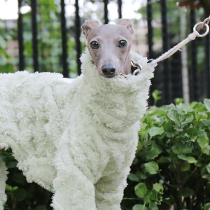 3b9e541b-4d29-455d-aa99-bb5dabf1d59e.png Double Fleece Italian Greyhound Dog Onesies, Extra Warm
