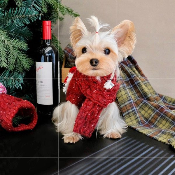 5b7c678d-4d0c-4db8-9b83-f1062f9f1459.jpg Cozy Dog Christmas Sweater Set, Festive Two-Piece