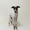 5c663f18-2383-4cdd-bbd8-6df8288af294.jpg Adorable Cotton Soft Italian Greyhound Onesie Pajamas