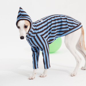 5cd07ef7-0a42-4e38-a7f6-47c72815f3e3.png Cozy Italian Greyhound Dog Pajamas, Snug Sleepwear