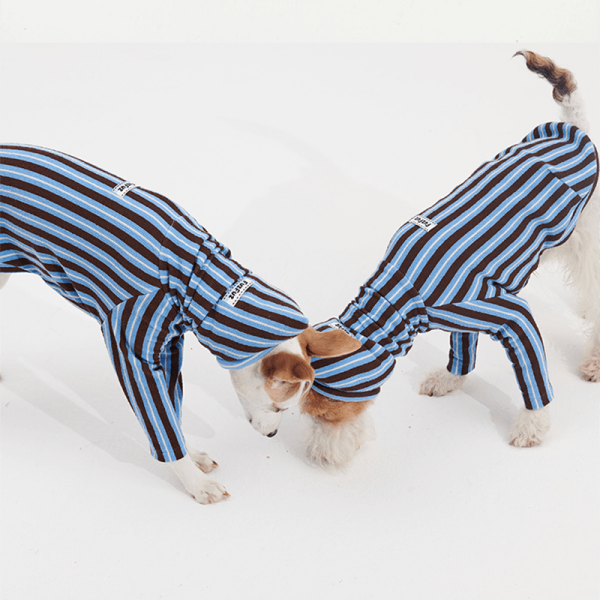 5e453c72-be26-4cea-84cc-d27c9cee99a5.png Cozy Italian Greyhound Dog Pajamas, Snug Sleepwear