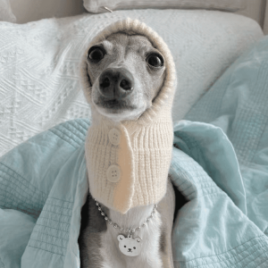 611f50a9-7aa3-4462-9b9b-2d9e8623f6c7.png Cozy Italian Greyhound Winter Hat with Fleece Lining