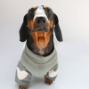 Cozy Knit Dachshund Dog Sweatshirt, Charming Design