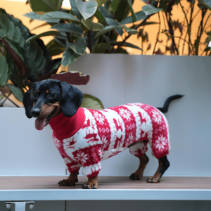 Cozy Christmas Dachshund Dog Onesies, Adorable Holiday Wear