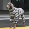 64d43d7b-caaa-44d0-bf61-b9fc1a59b656.jpg Cozy Big Dog Christmas Sweatshirt, Festive Holiday Style