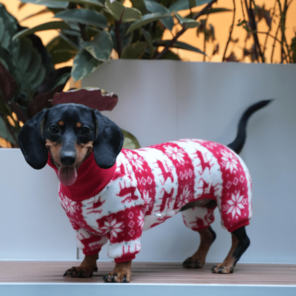 6d7dfbc5-8012-4dcf-91d6-0437aee8cb80.png Cozy Christmas Dachshund Dog Onesies, Adorable Holiday Wear